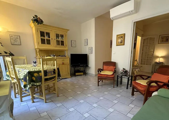 Daire Provencal Charm, Croisette & Palais Steps Away Cannes